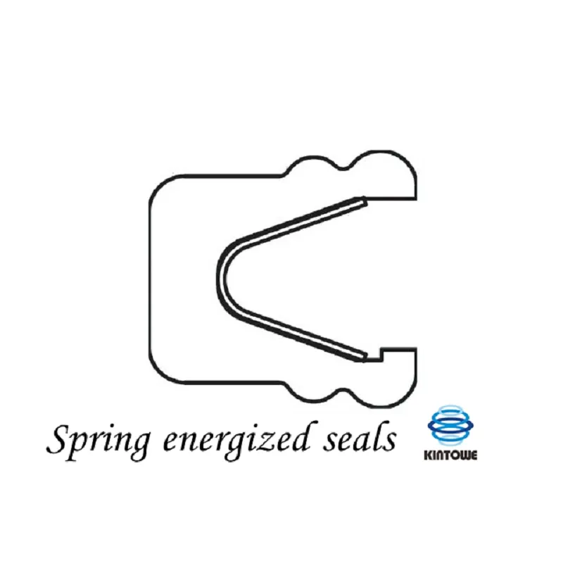 Spring Energized Seals